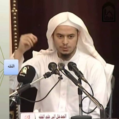 صورة عامر محمد بهجت